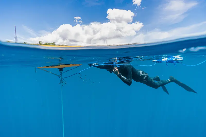 Freediving training underwater